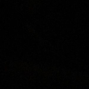 Meet your Posher, Daniela